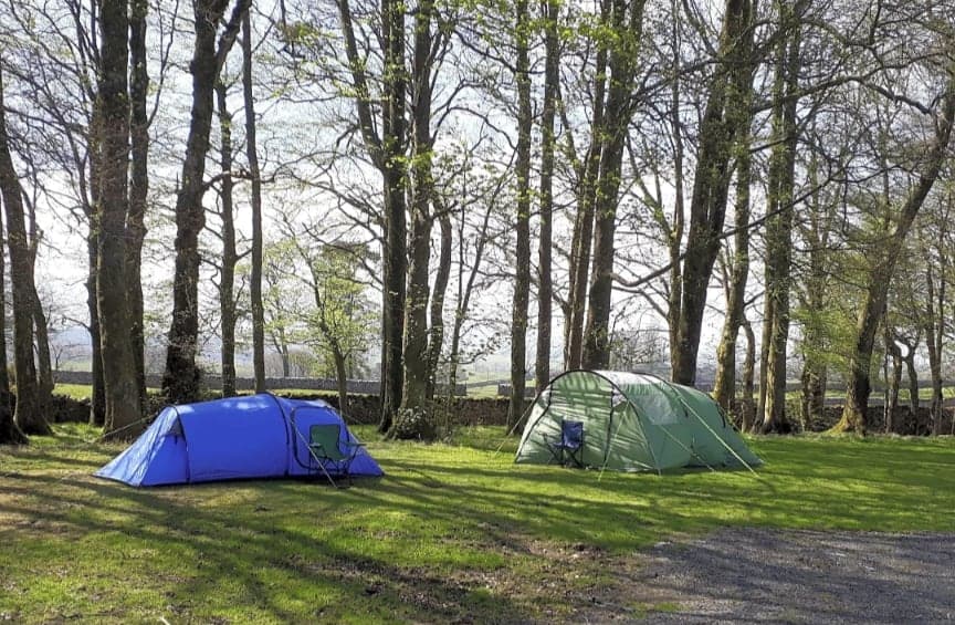 Tents among the trees at the campsite